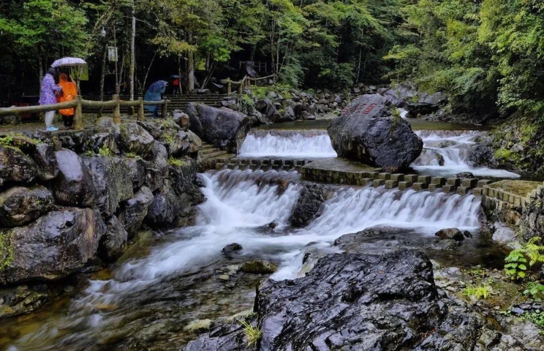 熊出没水果大陆2
